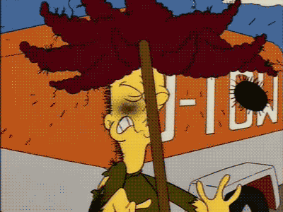 Sideshow Bob getting hit in the face with a rake repeatedly